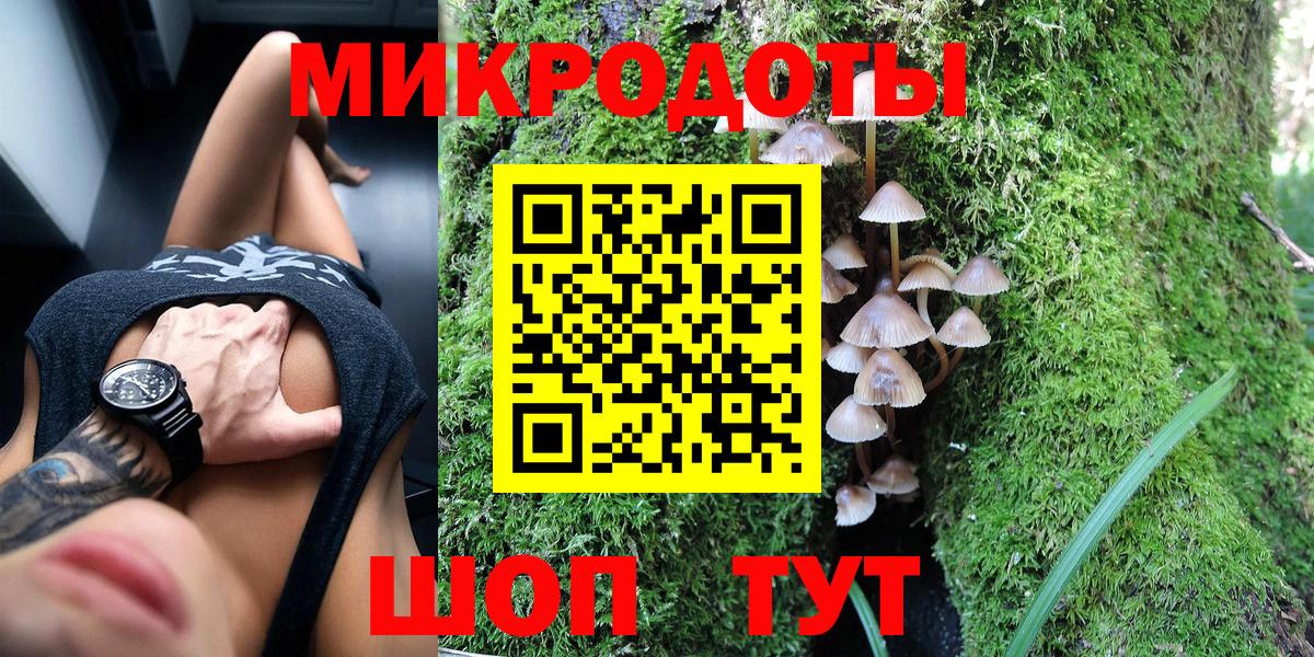 Псилоцибиновые грибы Cubensis Котовск