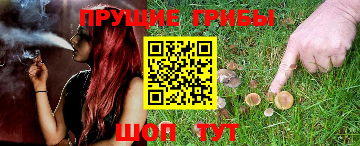 Котовск  Галлюциногенные грибы мухоморы  Псилоцибиновые грибы Cubensis  Вход с VPN 